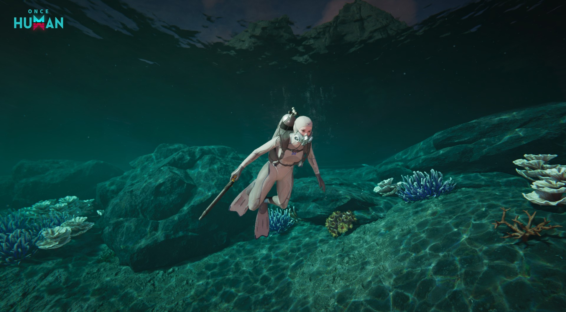 Official diver moving through coastal underwater vegetation