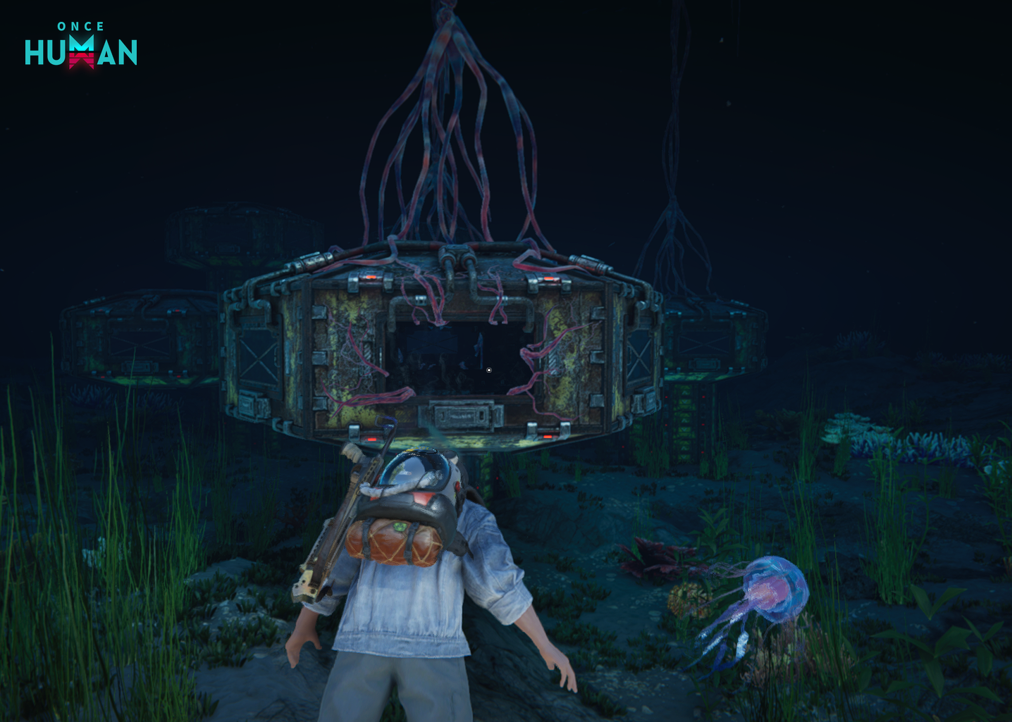 Official underwater ruin with a diver approaching